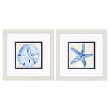 Paragon Coastal Watercolor A S/2 Blue 11 X 11 X 1 Wall Art