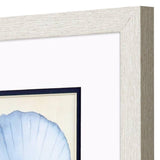 Paragon Coastal Watercolor B S/2 Blue 11 X 11 X 1 Wall Art