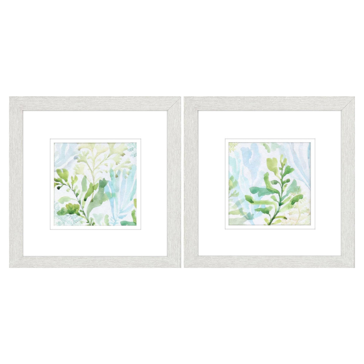 Paragon Seaweed Scramble S/2 Blue 11 X 11 X 1 Wall Art