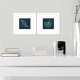 Paragon Shell Study on Teal A S/2 Blue 11 X 11 X 2 Wall Art