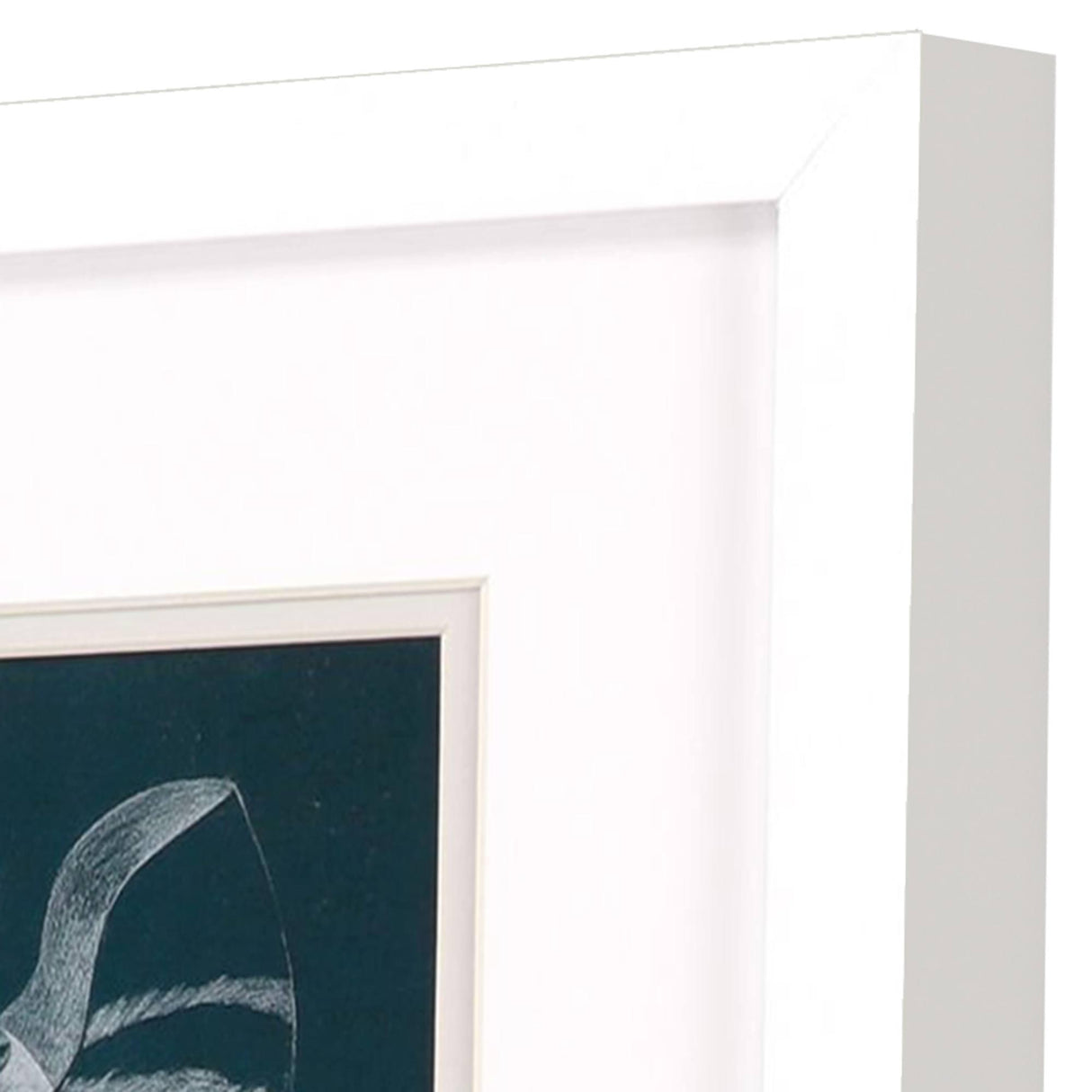 Paragon Shell Study on Teal A S/2 Blue 11 X 11 X 2 Wall Art