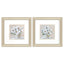Paragon Soft Whites S/2 Neutral 12 X 12 X 1 Wall Art