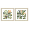 Paragon Plant Life S/2 Green 18 X 18 X 1 Wall Art