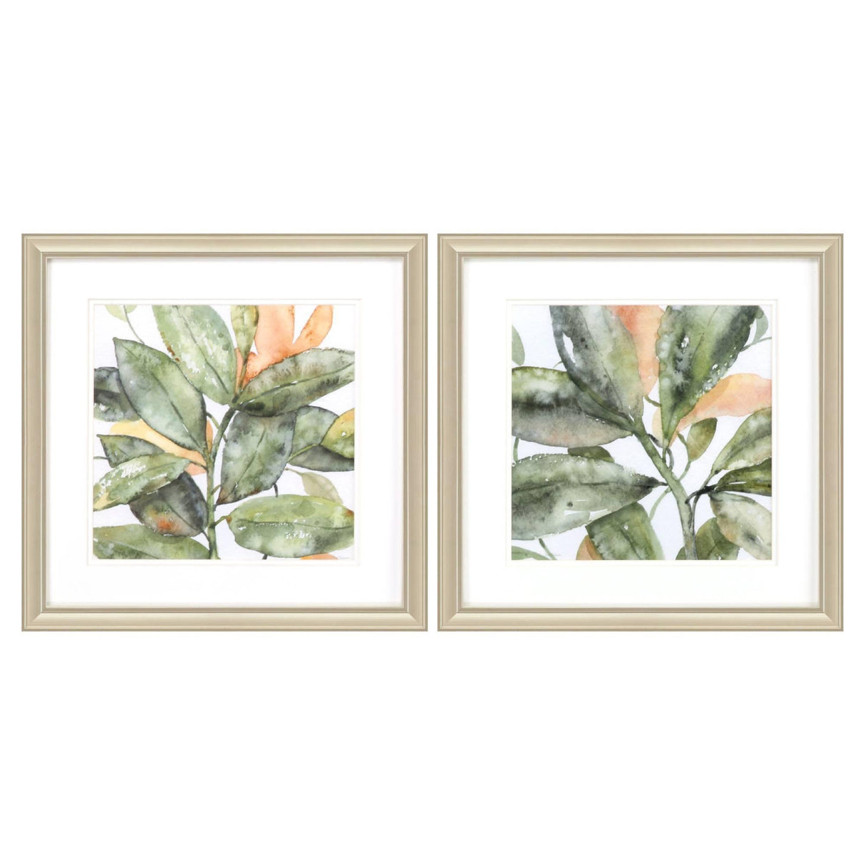 Paragon Plant Life S/2 Green 18 X 18 X 1 Wall Art