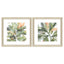 Paragon Plant Life S/2 Green 18 X 18 X 1 Wall Art