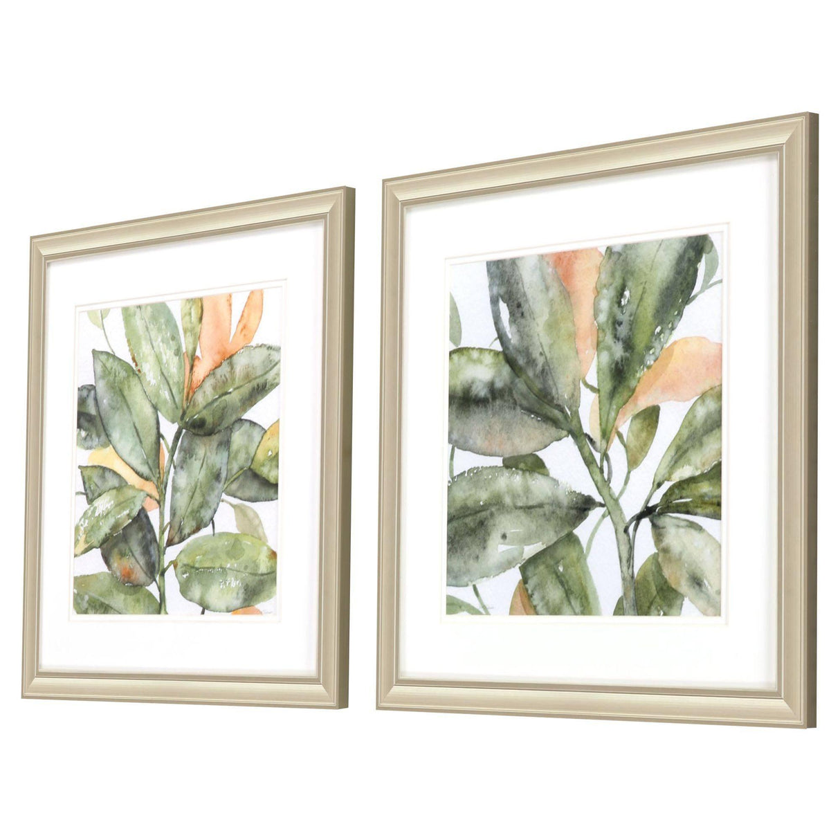 Paragon Plant Life S/2 Green 18 X 18 X 1 Wall Art
