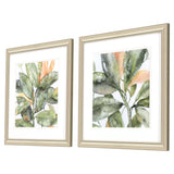 Paragon Plant Life S/2 Green 18 X 18 X 1 Wall Art