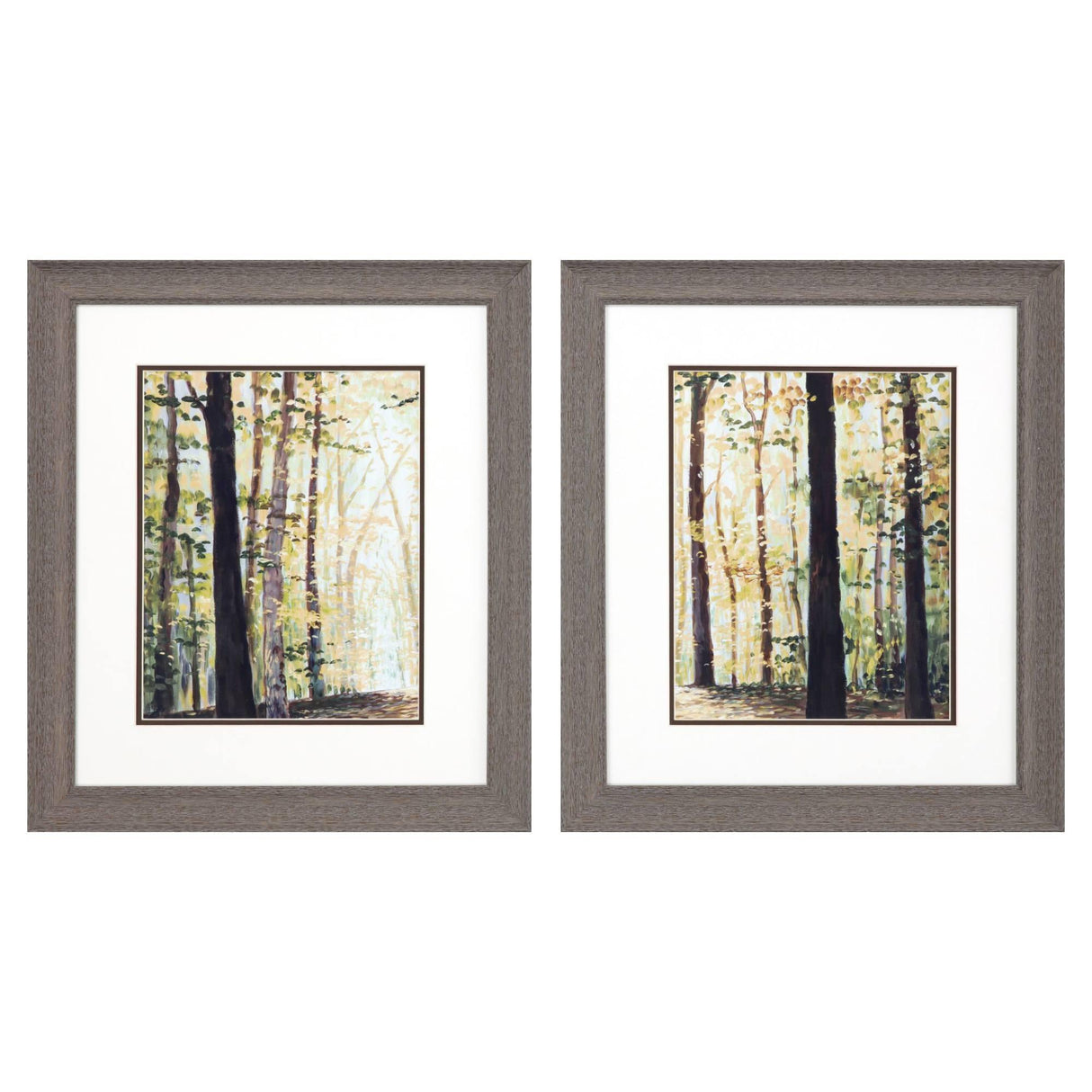Paragon Autumn Forest S/2 Brown 22 X 19 X 1 Wall Art