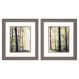 Paragon Autumn Forest S/2 Brown 22 X 19 X 1 Wall Art