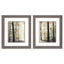 Paragon Autumn Forest S/2 Brown 22 X 19 X 1 Wall Art