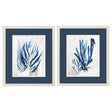 Paragon Coral Plant S/2 Blue 20 X 17 X 1 Wall Art