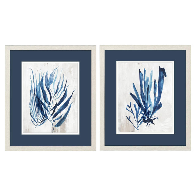 Paragon Coral Plant S/2 Blue 20 X 17 X 1 Wall Art