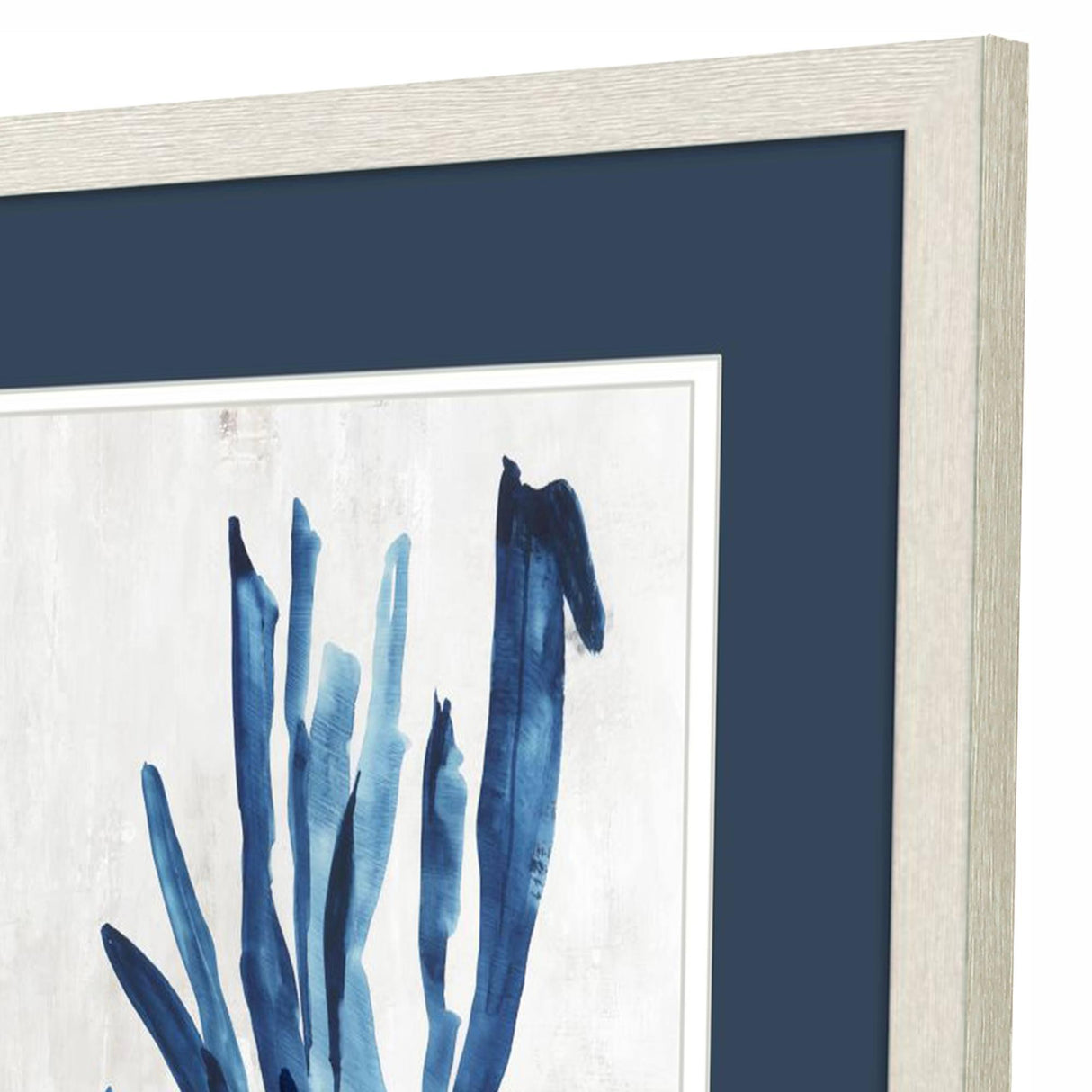 Paragon Coral Plant S/2 Blue 20 X 17 X 1 Wall Art