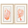 Paragon Seaweed Coral S/2 Orange 33 X 21 X 1 Wall Art