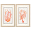 Paragon Seaweed Coral S/2 Orange 33 X 21 X 1 Wall Art