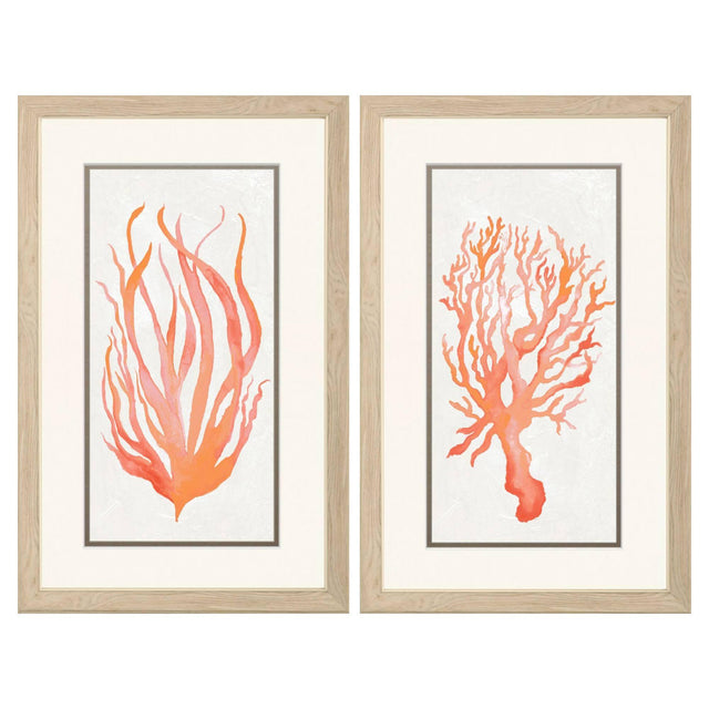 Paragon Seaweed Coral S/2 Orange 33 X 21 X 1 Wall Art
