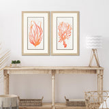 Paragon Seaweed Coral S/2 Orange 33 X 21 X 1 Wall Art