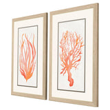 Paragon Seaweed Coral S/2 Orange 33 X 21 X 1 Wall Art