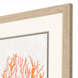 Paragon Seaweed Coral S/2 Orange 33 X 21 X 1 Wall Art