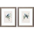 Paragon Bluebird Happy S/2 Blue 11 X 09 X 1 Wall Art