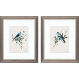 Paragon Bluebird Happy S/2 Blue 11 X 09 X 1 Wall Art