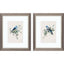 Paragon Bluebird Happy S/2 Blue 11 X 09 X 1 Wall Art