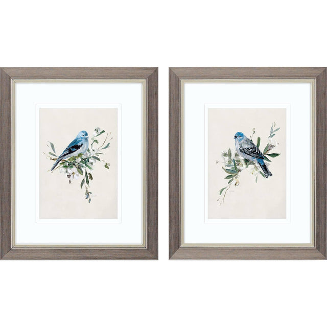 Paragon Bluebird Happy S/2 Blue 11 X 09 X 1 Wall Art
