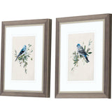 Paragon Bluebird Happy S/2 Blue 11 X 09 X 1 Wall Art