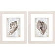Paragon Ocean Cone S/2 Brown 11 X 09 X 1 Wall Art