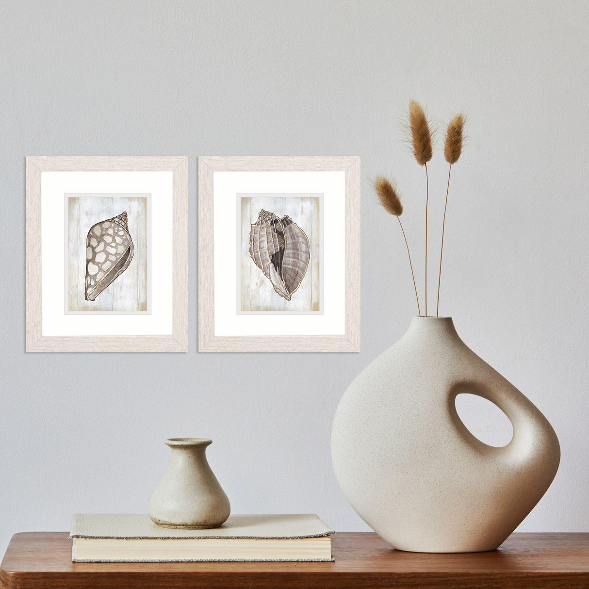 Paragon Ocean Cone S/2 Brown 11 X 09 X 1 Wall Art