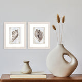 Paragon Ocean Cone S/2 Brown 11 X 09 X 1 Wall Art