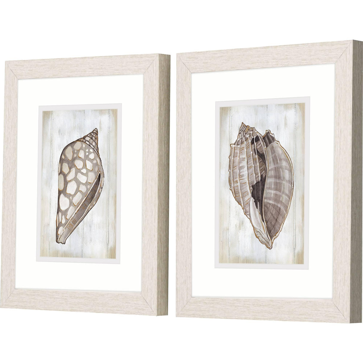 Paragon Ocean Cone S/2 Brown 11 X 09 X 1 Wall Art