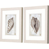 Paragon Ocean Cone S/2 Brown 11 X 09 X 1 Wall Art