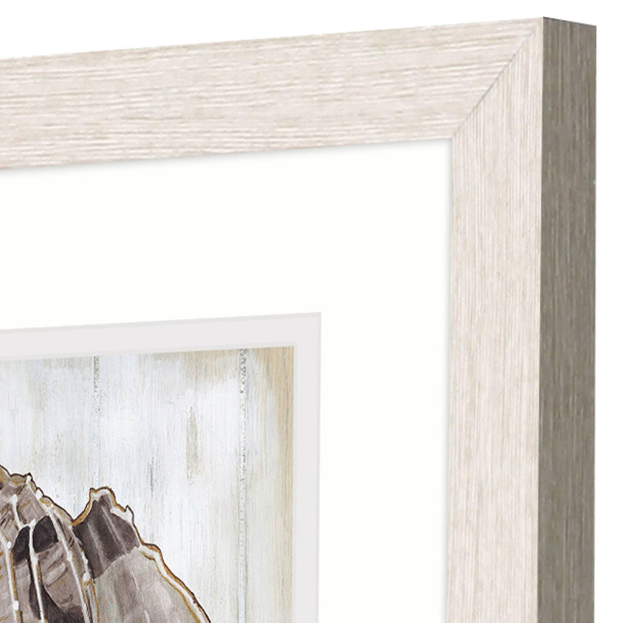 Paragon Ocean Cone S/2 Brown 11 X 09 X 1 Wall Art