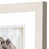 Paragon Ocean Cone S/2 Brown 11 X 09 X 1 Wall Art