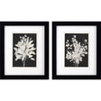 Paragon Misty Branches S/2 Black 11 X 09 X 2 Wall Art