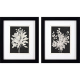 Paragon Misty Branches S/2 Black 11 X 09 X 2 Wall Art