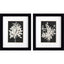 Paragon Misty Branches S/2 Black 11 X 09 X 2 Wall Art