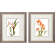 Paragon Floral Beauty I S/2 Orange 11 X 09 X 1 Wall Art