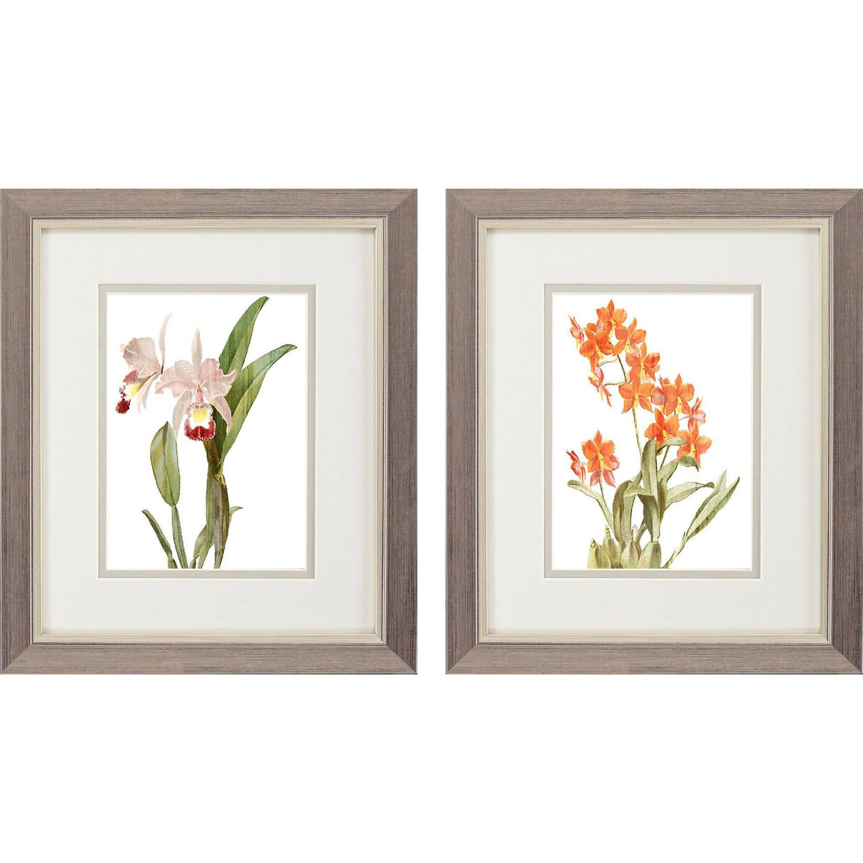 Paragon Floral Beauty I S/2 Orange 11 X 09 X 1 Wall Art