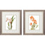 Paragon Floral Beauty I S/2 Orange 11 X 09 X 1 Wall Art