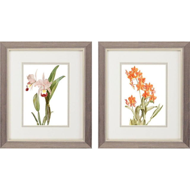 Paragon Floral Beauty I S/2 Orange 11 X 09 X 1 Wall Art