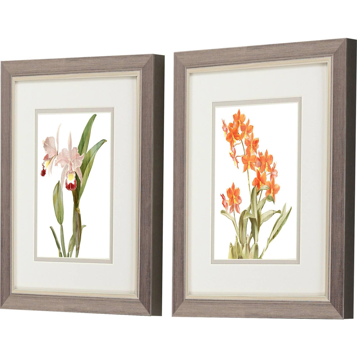 Paragon Floral Beauty I S/2 Orange 11 X 09 X 1 Wall Art
