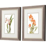 Paragon Floral Beauty I S/2 Orange 11 X 09 X 1 Wall Art