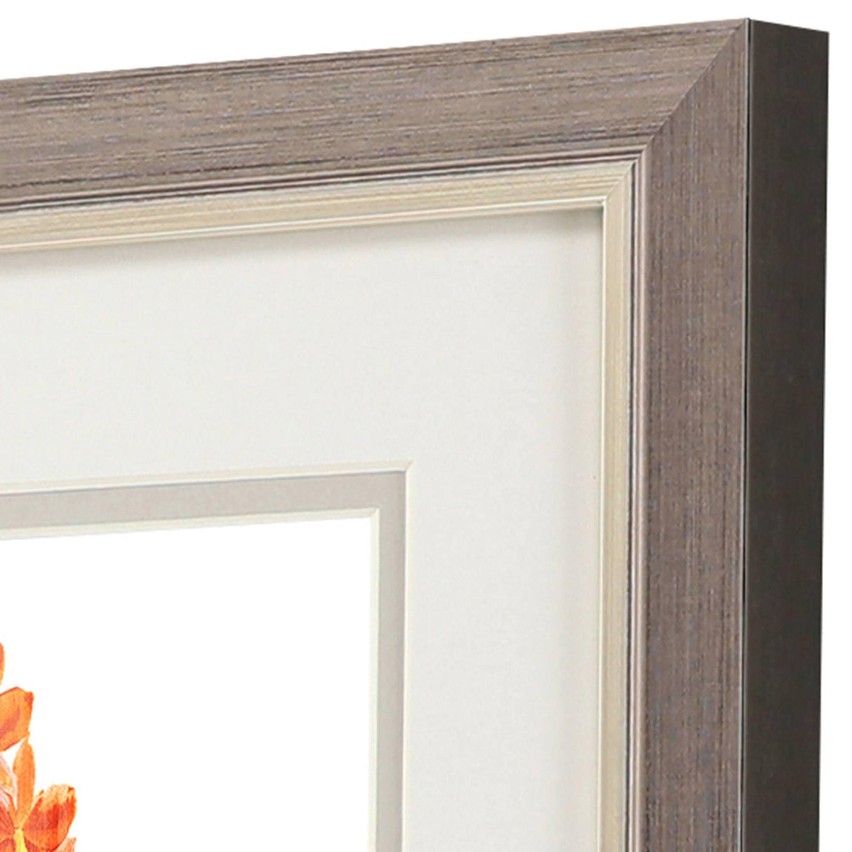 Paragon Floral Beauty I S/2 Orange 11 X 09 X 1 Wall Art
