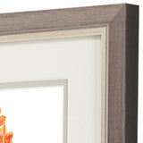 Paragon Floral Beauty I S/2 Orange 11 X 09 X 1 Wall Art