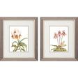 Paragon Floral Beauty II S/2 Pink 11 X 09 X 1 Wall Art