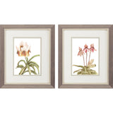 Paragon Floral Beauty II S/2 Pink 11 X 09 X 1 Wall Art