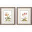 Paragon Floral Beauty II S/2 Pink 11 X 09 X 1 Wall Art