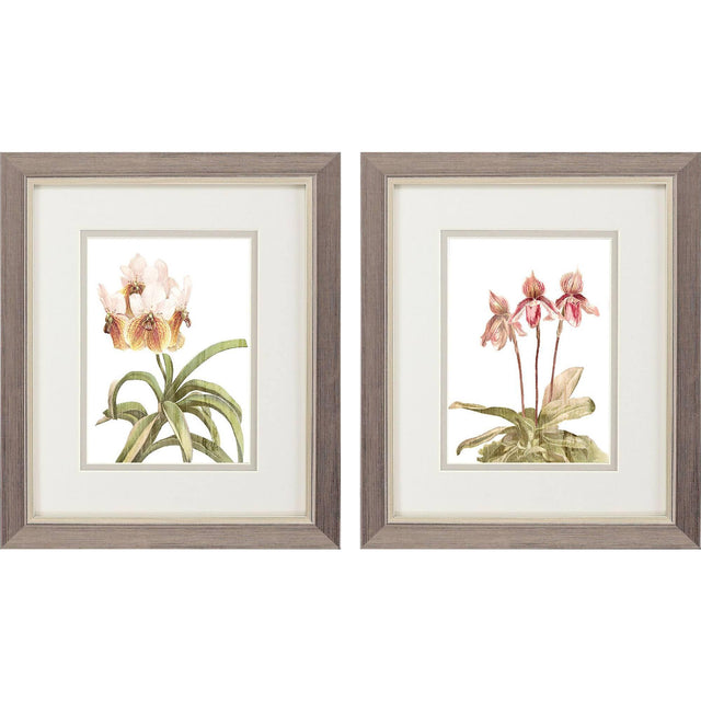 Paragon Floral Beauty II S/2 Pink 11 X 09 X 1 Wall Art
